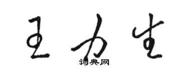 駱恆光王力生草書個性簽名怎么寫