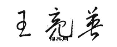 駱恆光王亮英草書個性簽名怎么寫