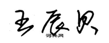 朱錫榮王辰貝草書個性簽名怎么寫