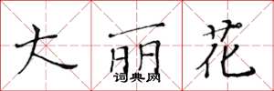黃華生大麗花楷書怎么寫