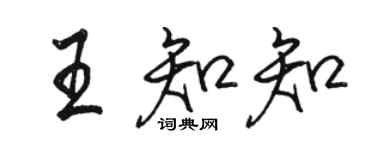 駱恆光王知知行書個性簽名怎么寫
