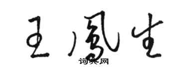 駱恆光王鳳生草書個性簽名怎么寫