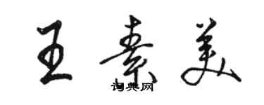 駱恆光王素美行書個性簽名怎么寫