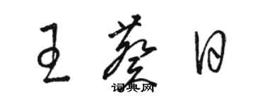 駱恆光王葵日草書個性簽名怎么寫