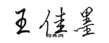 駱恆光王佳墨行書個性簽名怎么寫