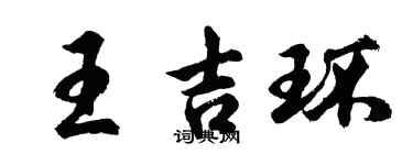 胡問遂王吉環行書個性簽名怎么寫
