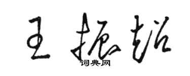 駱恆光王振超草書個性簽名怎么寫