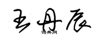 朱錫榮王丹辰草書個性簽名怎么寫