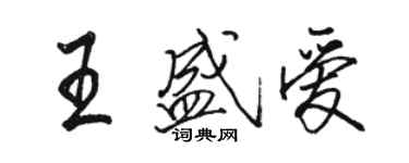 駱恆光王盛愛行書個性簽名怎么寫