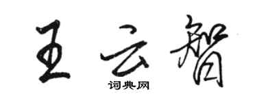駱恆光王雲智行書個性簽名怎么寫