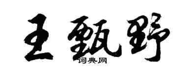 胡問遂王甄野行書個性簽名怎么寫