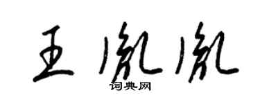 梁錦英王胤胤草書個性簽名怎么寫