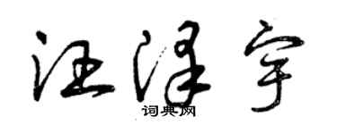 曾慶福汪澤宇草書個性簽名怎么寫