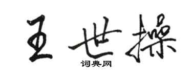 駱恆光王世操行書個性簽名怎么寫