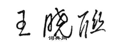駱恆光王曉聯草書個性簽名怎么寫