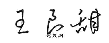 駱恆光王良甜草書個性簽名怎么寫