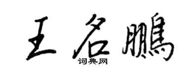 王正良王名鵬行書個性簽名怎么寫
