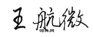 駱恆光王航微行書個性簽名怎么寫