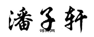 胡問遂潘子軒行書個性簽名怎么寫