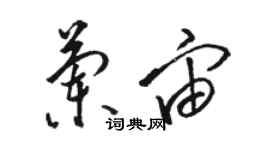 駱恆光蘭宙草書個性簽名怎么寫