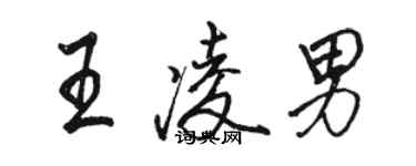 駱恆光王凌男行書個性簽名怎么寫