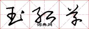 朱錫榮玉紅草草書怎么寫