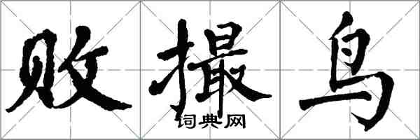 翁闓運敗撮鳥楷書怎么寫