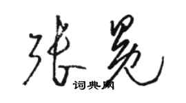 駱恆光張冕草書個性簽名怎么寫