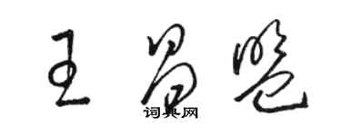 駱恆光王昌盟草書個性簽名怎么寫