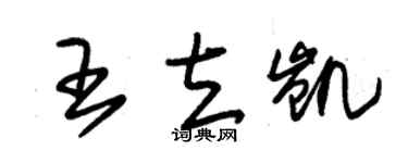 朱錫榮王立凱草書個性簽名怎么寫