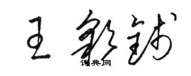 駱恆光王彩錢草書個性簽名怎么寫