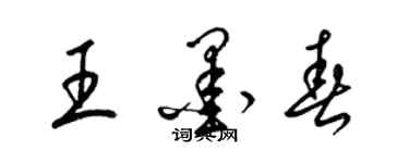 梁錦英王墨春草書個性簽名怎么寫