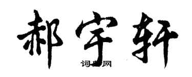 胡問遂郝宇軒行書個性簽名怎么寫