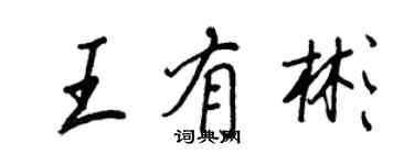 王正良王有彬行書個性簽名怎么寫