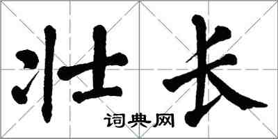 翁闓運壯長楷書怎么寫