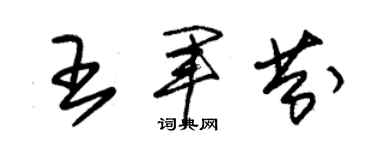 朱錫榮王軍芬草書個性簽名怎么寫