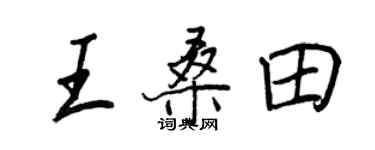 王正良王桑田行書個性簽名怎么寫