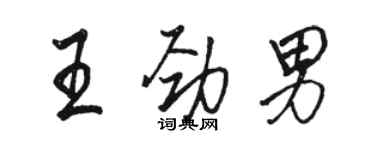 駱恆光王勁男行書個性簽名怎么寫