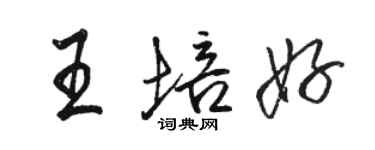 駱恆光王培好行書個性簽名怎么寫