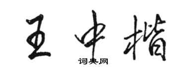 駱恆光王中楷行書個性簽名怎么寫