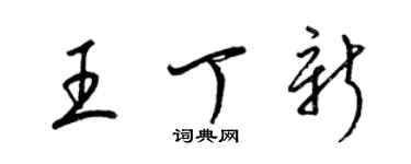 梁錦英王丁新草書個性簽名怎么寫