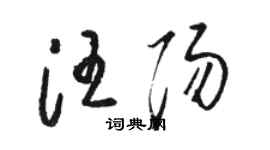 駱恆光汪陽草書個性簽名怎么寫