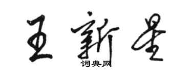 駱恆光王新星行書個性簽名怎么寫