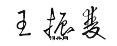 駱恆光王振雙草書個性簽名怎么寫