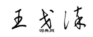 梁錦英王戈淬草書個性簽名怎么寫