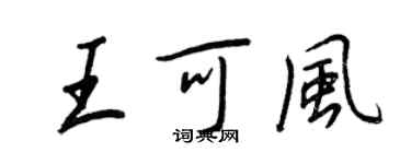 王正良王可風行書個性簽名怎么寫
