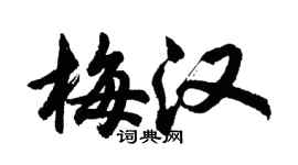 胡問遂梅漢行書個性簽名怎么寫