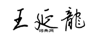王正良王延龍行書個性簽名怎么寫