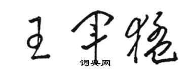 駱恆光王軍猛草書個性簽名怎么寫