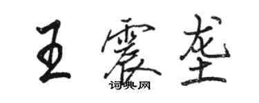 駱恆光王震壟行書個性簽名怎么寫